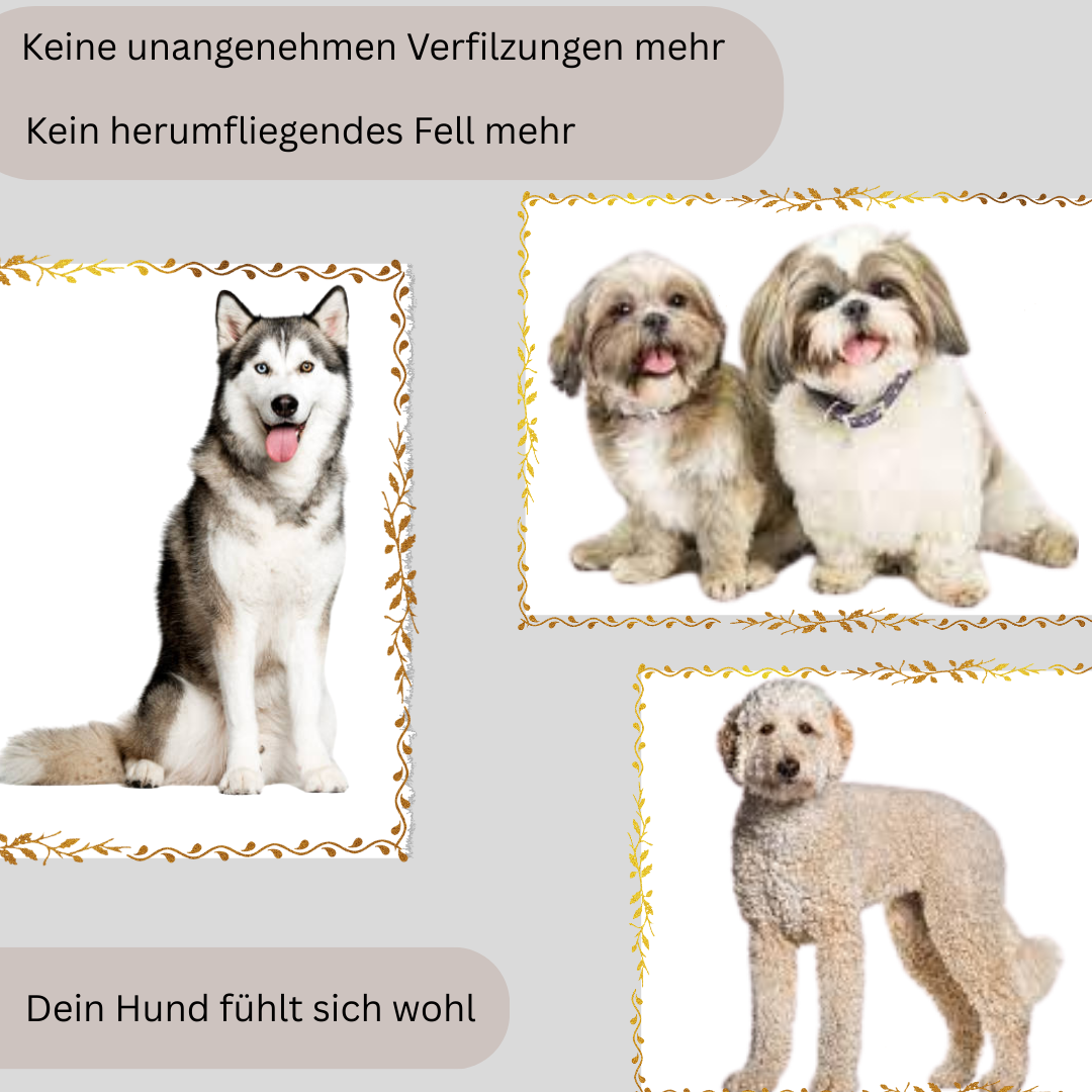 Schermaschinen mit integriertem Sauger